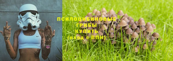 прущие грибы Навашино
