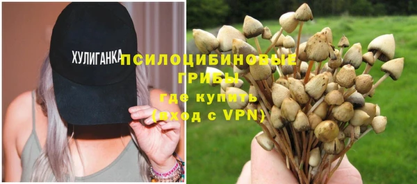 прущие грибы Навашино