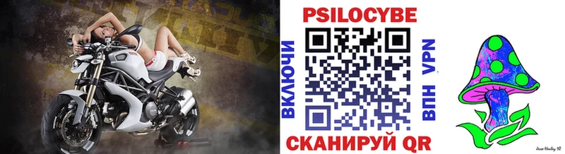 Галлюциногенные грибы Psilocybine cubensis  Купить где  Евпатория 